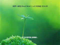 新萝卜家园Ghost Win8.1 32位 纯净版 2016年09月