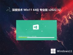 ȼ⼤win11 64λ²ٰv2022.12