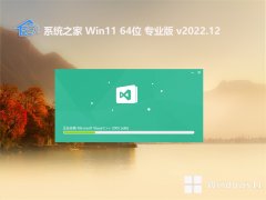 ϵͳ֮win11⼤64λ޹澭v2022.12