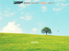 雨林木风官网win10 64位专业版 v2022.12
