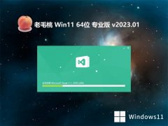 ëwin11 64λǿЧv2023.01